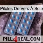 Pilules De Vers À Soie viagra4